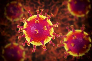 MERS virus, Meadle-East Respiratory Syndrome coronovirus